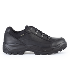 Черевики LOWA RENEGADE II GTX LO TF Black UK 15/EU 51 (310904/999)