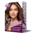 Краска Master Colorist для воло