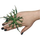 Каблучка Ельфійка Seta Decor 23-517GR
