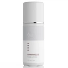 Лосьон с гамамелисом Holy Land Cosmetics Hamamelis Face Lotion 250 мл