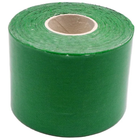 Кінезіологічна стрічка Ciron Kinesiology tape Green (5904463684294)