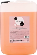 Шампунь для частого використання Inebrya Frequent Ice Cream Daily Shampoo 10 л (8008277263786)