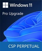 Програмний продукт Microsoft Windows 11 Pro Upgrade (DG7GMGF0D8H4-0004)