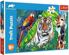 Puzzle Trefl Animal Planet Niesamowite zwierzęta 300 elementów (5900511230079)