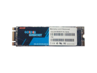 SSD накопичувач Golden Memory GMNV256