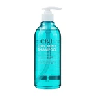 Шампунь для волосся Охолоджуючий CP-1 Head Spa Cool Mint Shampoo Esthetic House 500 мл 8809450012074