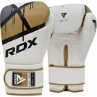 Боксерские перчатки RDX F7 Ego + Капа