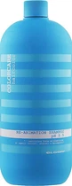 Восстанавливающий шампунь для поврежденных волос Elgon Colorcare Re-Animation Shampoo 1 л (8053264519902)