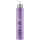 Маска антижелтая Erayba E ABH Silver No-Yellow Mask 250 мл