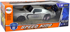 Auto sportowe zdalnie sterowane LEAN Toys Champion 1:18 Srebrne (5904665991190)