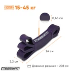 Резиновая петля EasyFit Origin 15-45 кг фиолетовая (для фитнеса, тренировок, подтягиваний, резина для турника, резинка-эспандер) EF-1877-V