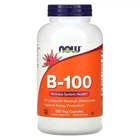Комплекс В-100 Now Foods B-Vitamins для нервової системи, 250 вегетаріанських капсул (NOW-00438)