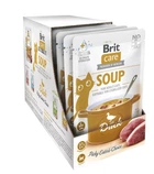 Влажный корм для кошек Brit Care Soup Cуп с уткой 75 г