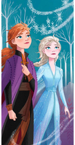 Пляжний рушник Disney Frozen 2 70 x 140 см (8435746905234)