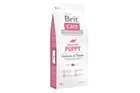 Сухий корм для цуценят Brit Care GF Puppy Salmon&Potato