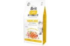Сухой корм для кошек Brit Care Cat GF Haircare Healthy & Shiny Coat со сложным уходом за шерстью с лососем и курицей