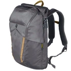Рюкзак Victorinox ALTMONT Active/Grey 602137