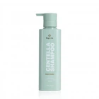 Шампунь для волос Bogenia Centella Shampoo BG416 №001 з екстрактом центелли та ментолом, 450 мл