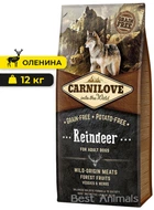 Сухой корм для взрослых собак Carnilove Raindeer