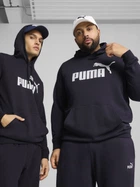 Худи мужское Ess No. 1 Logo Hoodie Tr