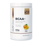 Аминокислота Sport Generation Gold Premium Instant BCAA+ 520 гр