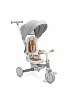Детский трехколесный велосипед Caretero (Toyz) Faro Grey