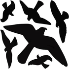 Наклейки для отпугивания птиц Bradas большие 10 листов (CTRL-BR002)