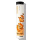 Elgon Refibra Restoring Shampoo Шампунь восстанавливающий 250 мл