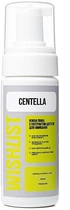 Нежная пенка с экстрактом центеллы для умывания - Wishlist 150ml (150ml) (1261841-937043150-2)