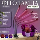 Фитолампа для растений на 4 ветки светодиодная LED с таймером USB 20Вт, настольная лампа для роста и цветения, комнатных и тепличных растений с клипсой-зажимом и USB питанием, красный, фиолетовый и синий свет Черная LP-418