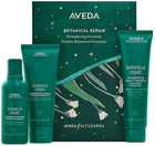 Zestaw do pielęgnacji włosów Aveda Botanical Repair Szampon wzmacniający 100 ml + Odżywka wzmacniająca 100 ml + Kuracja do włosów bez spłukiwania 100 ml (018084064979)