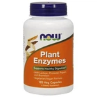 Натуральная добавка Now Foods Plant Enzymes Пищеварение и ферменты