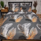 Набор Moon&Star Бязь Gold Люкс Mystic Feathers Простыня 200х220 см + 2 наволочки 40х60 см (MS-880000306)