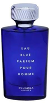 Парфумована вода для чоловіків Paris Corner Pendora Scents Eau Blue Pour Homme 100 мл (3296651245786)