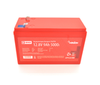 Аккумуляторная батарея Merlion LiFePO4 12.8V 9AH для электротранспорта