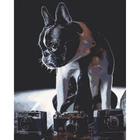 Картина за номерами "Сором'язливий фотограф" лак 40*50см, термопакет, ТМ ART Craft