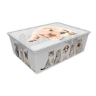 Коробка с крышкой 17.5х37х52.5 см (25л) QUTU (LIGHT BOX CATS AND DOGS)