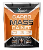 Гейнер Powerful Progress Carbo Mass Gainer