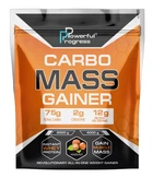 Гейнер Powerful Progress Carbo Mass Gainer