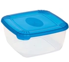 Ємність для морозилки Plast Team POLAR 0.95 л з синьою кришкою (TEA-1675)
