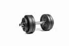 Гантель розбірна металева RN-Sport RN_QTR13, 13,5 кг