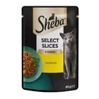 Вологий корм для кішок Sheba Select Slices з куркою у соусі 85 г