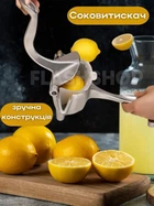 Міні соковитискач ручний для фруктів із затискачем (сріблястий)