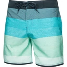 Плавки-шорти для чоловіків Aqua Speed NOLAN 7541 сірий, м'ятний Чол 40-42 (XS)