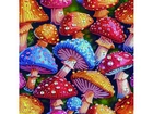 Алмазная мозаика Цветные мухоморы, Brushme (25х25 см), BH015