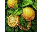 Алмазна мозаїка Жовті лимони, Brushme (25х25 см), BH023