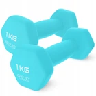 Гантели виниловые 4FIZJO Classic 2 x 1 кг (P-5907739311955)