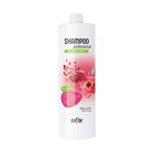 Гранатовый шампунь для волос Itely Hairfashion Shampoo Professional Pomegranate 1000 мл