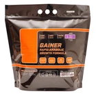 Гейнер BioLine Nutrition Rapid Anabolic пакет