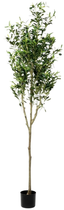 Sztuczna roślina Homla Tropical Zone Drzewko oliwne 180 cm (5904183877945)
